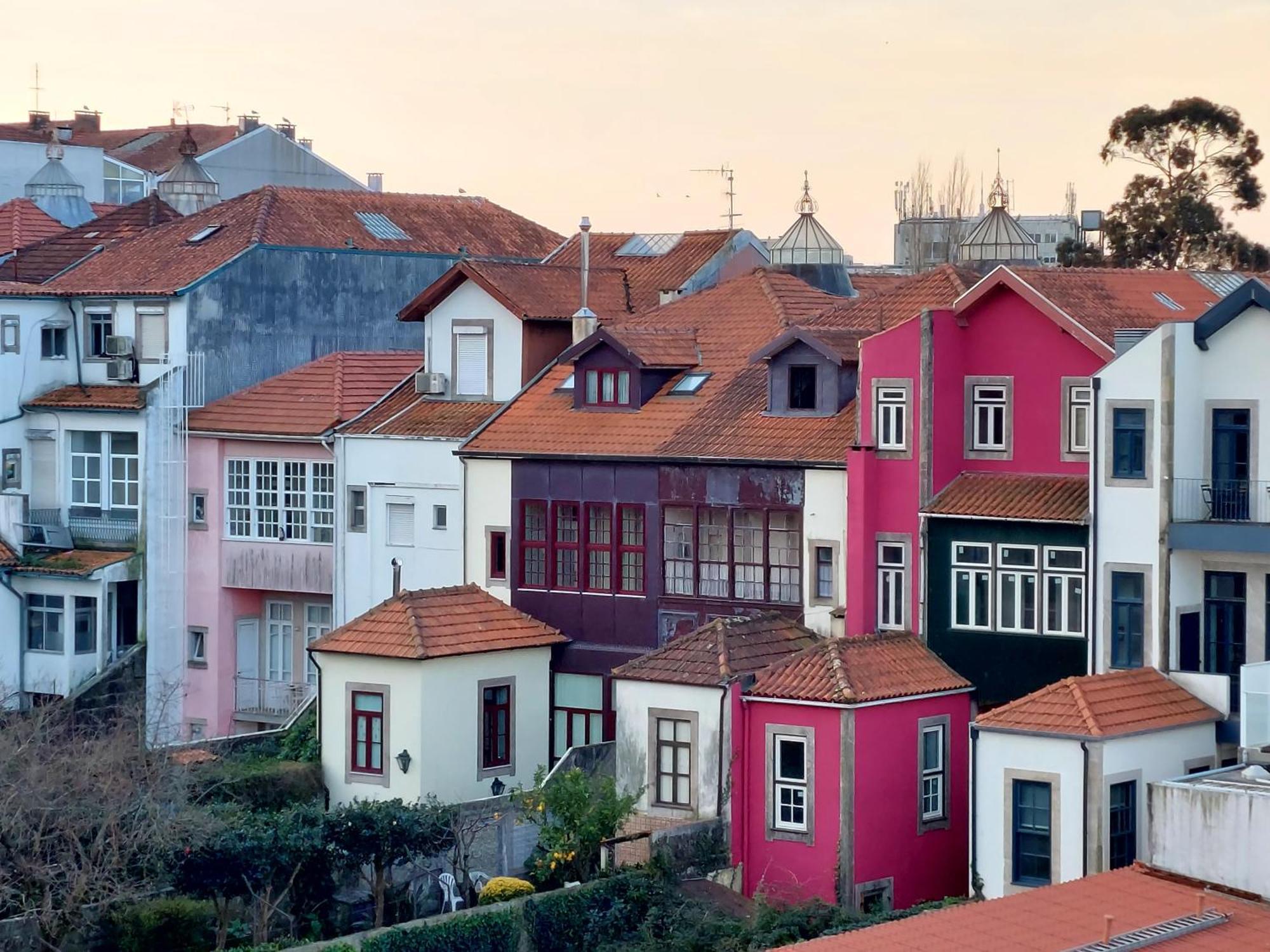Le Chien Noir City Centre Porto Exteriér fotografie